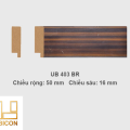 Khung tranh khổ vừa UB403 - BR