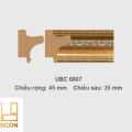 Khung tranh khổ vừa UBC6607