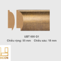Khung tranh khổ vừa UBT600G1