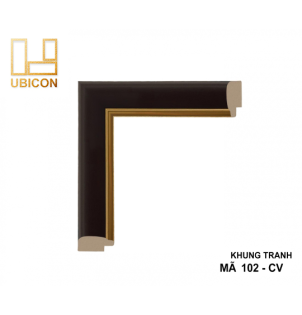 KHUNG TRANH 102 - CV