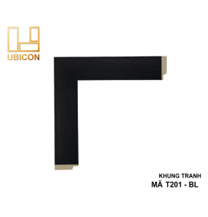 KHUNG TRANH T201 - BL