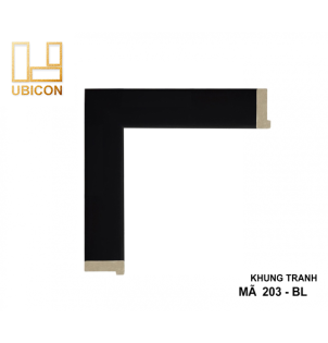 KHUNG TRANH 203 - BL