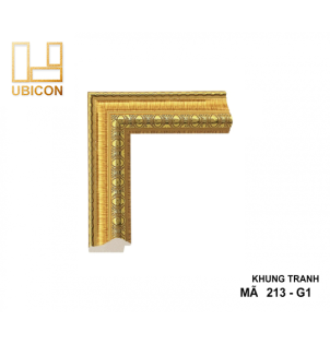 KHUNG TRANH 213 - G1