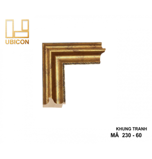 KHUNG TRANH 230 - 60