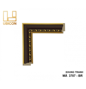 KHUNG TRANH 3707 - BR