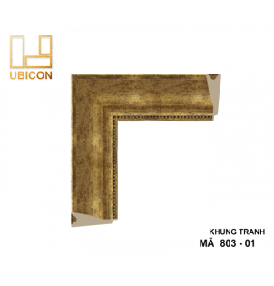 KHUNG TRANH 803 - 01
