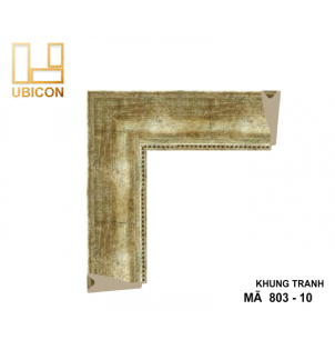 KHUNG TRANH 803 - 10
