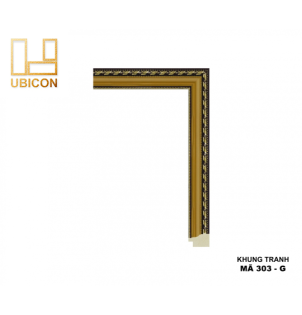 KHUNG TRANH 303 - G