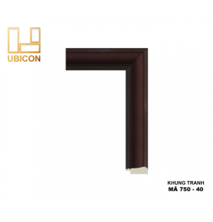 KHUNG TRANH 750 - 40