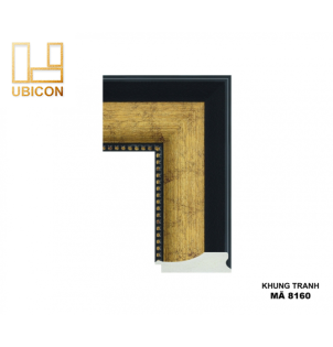 KHUNG TRANH 8160
