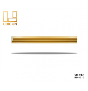 CHỈ VIỀN B5010 - 2