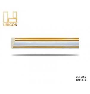 CHỈ VIỀN B6010 - 4